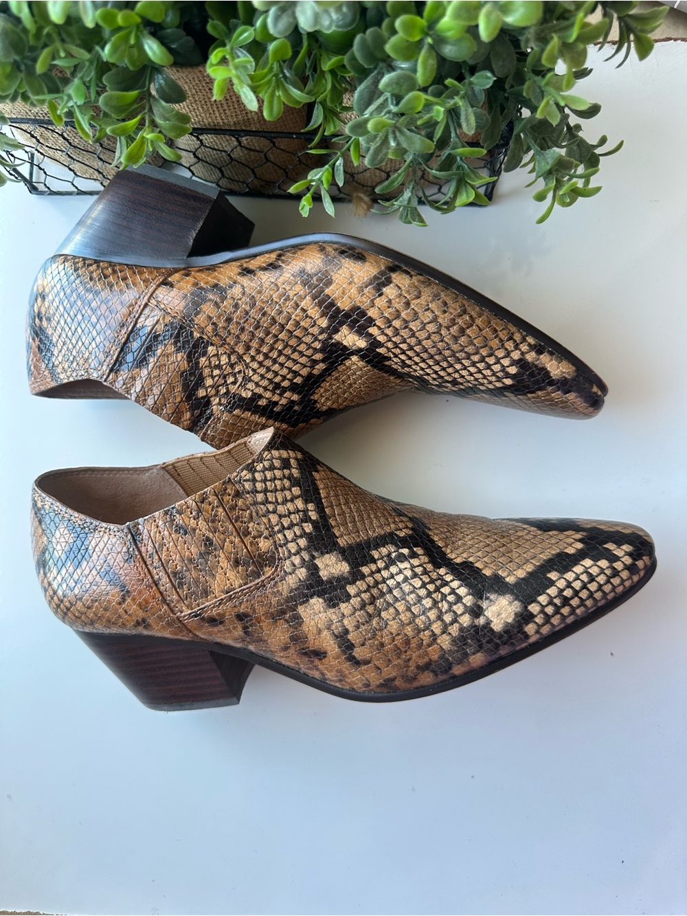 J. Crew Snake-Print Pointed Ankle Booties in Brown and Black women size 8